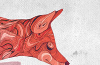 免费ddos平台攻击